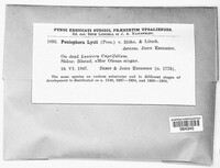 Image Associated With the Occurrence